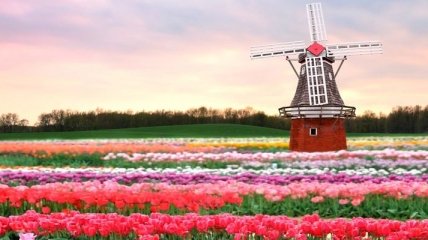 Завораживающие снимки, после просмотра которых вам захочется посетить Нидерланды (Фото)