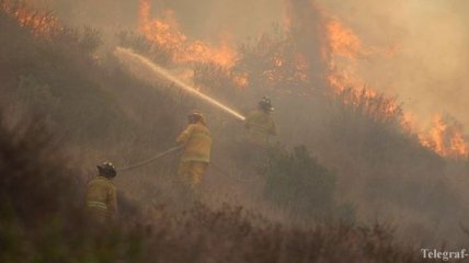 В Калифорнии бушуют лесные пожары: фото и видео