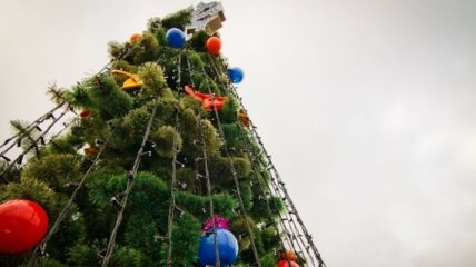 На главной площади Харькова засияла новогодняя елка