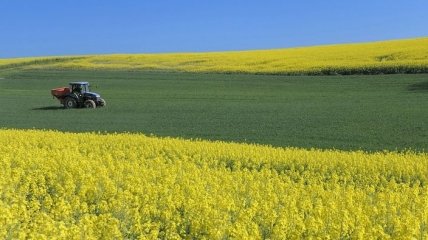В Кабмине озвучили, сколько будет стоит гектар земли в Украине после 1 июля