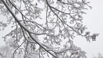 Прогноз погоды в Украине на 23 февраля: страну охватят морозы