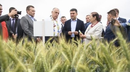 Гройсман отмечает спрос в мире на украинскую аграрную продукцию