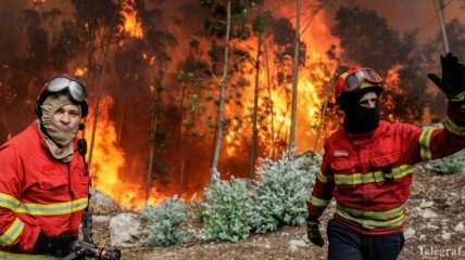 Масштабные пожары в Португалии: растет количество жертв 