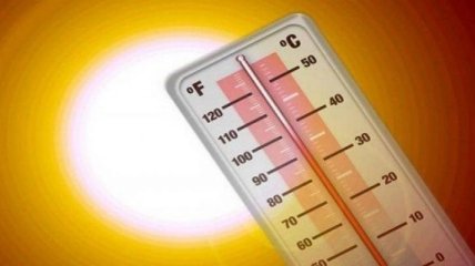 От аномальной жары в Канаде погибли уже 33 человека