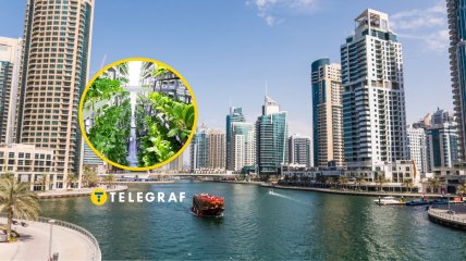 Современная ферма в Дубае