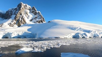 Антарктида зеленеет - в талой воде начинают цвести водоросли: видео