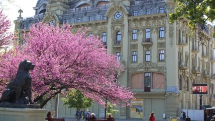 Сьогодні в Україні тепло до +28, без опадів