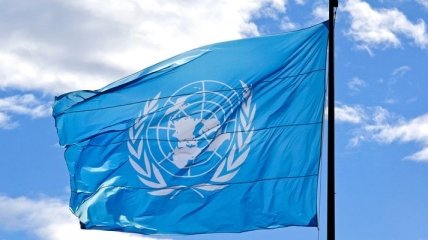 В ООН поддержали Украину 