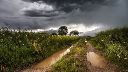 В Украине в ближайшие сутки сохраняется прохладная погода с дождями