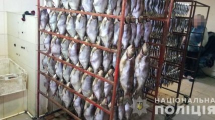 В Днепре полиция обнаружила нелегальный цех по копчению рыбы 