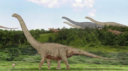 В Канаде показали мумию погибшего 110 млн лет назад динозавра