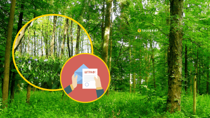 Її занесено до Червоної книги вже понад як 45 років