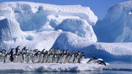 Украина планирует новые международные проекты в Антарктиде