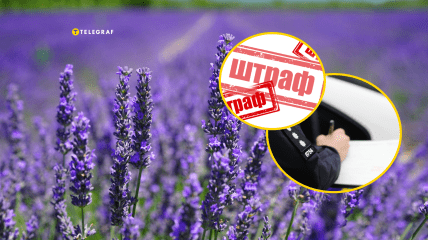 Лучше этого не делать