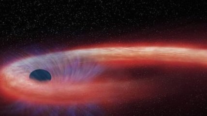 Зафиксирована самая длительная "смерть" звезды в бездне черной дыры
