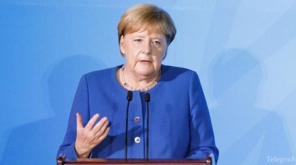 Германия взялась защищать леса: Меркель рассказала подробности 
