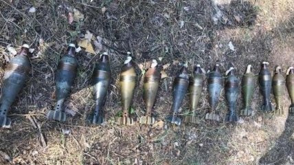Гранаты, мины и другие боеприпасы: Под Днепром обнаружен арсенал оружия 