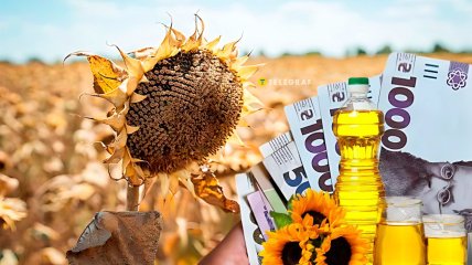Цены на растительное масло