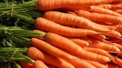 Польза и вред от моркови  