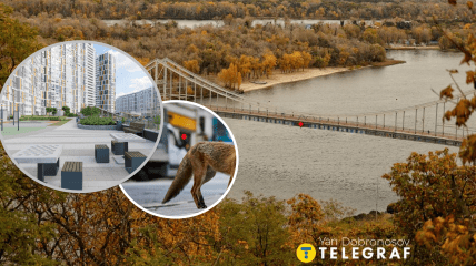 В Киеве увидели опасного хищника