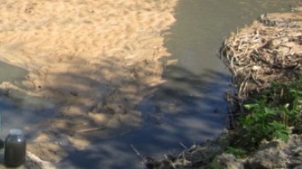 В Житомирской области запретили брать воду из двух рек 