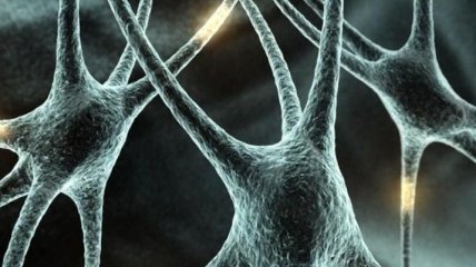 Ученые открыли метод восстановления нервных клеток