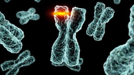 Исследователи назвали мутации новым механизмом эволюции