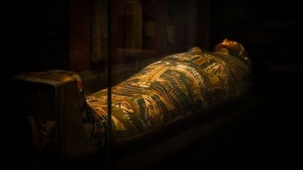 В Египте открыли 30 нетронутых саркофагов с мумиями (Видео)