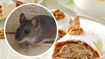 Мышь вылезла на витрину кафе в Киеве