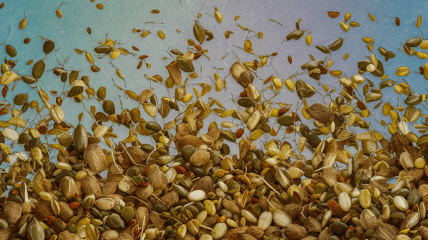 Семена нуждаются в правильных условиях хранения (изображение создано с помощью ИИ)
