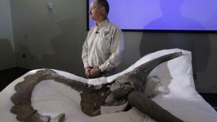 В Китае найден огромный динозавр-птица с крыльями из перьев