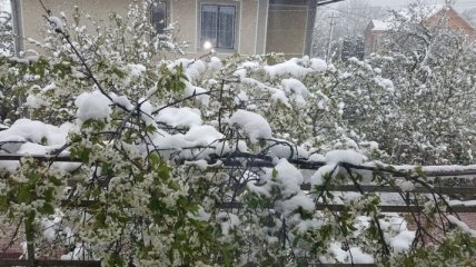 Апрельские снегопады в Украине