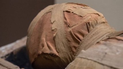 Эрмитажная мумия певицы оказалась жрецом