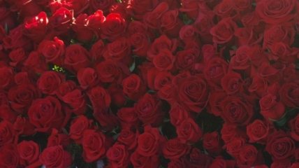 В Болгарии пройдет ежегодный фестиваль роз