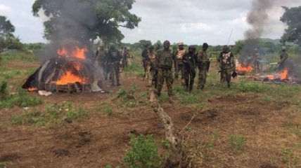 14 человек погибли в ходе перестрелки правительственных войск с боевиками в Нигерии
