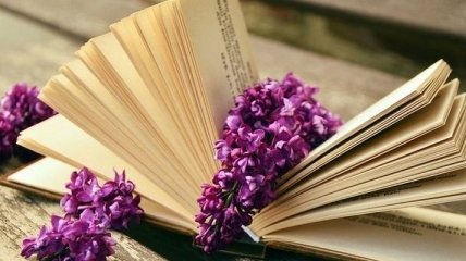 Сегодня отмечают Всемирный день книги и авторского права 