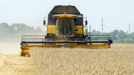 Минагрополитики: Украина идет на рекорд по сбору урожая