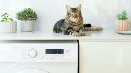 Что можно стирать в стиральной машине