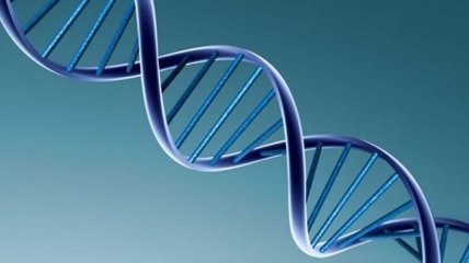 В США для лечения онкологии разрешили редактировать геном человека