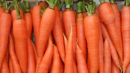 Кому необходимо есть морковь 