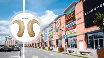 Рогатый скот