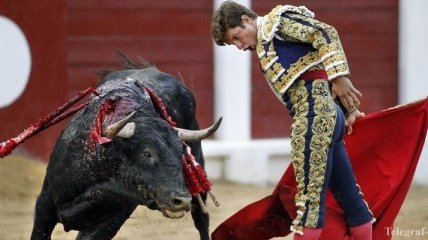 В традиционных забегах с быками в Испании погибли 7 человек