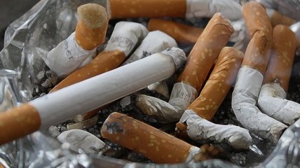 В Нидерландах ввели запрет на курение в заведениях общепита