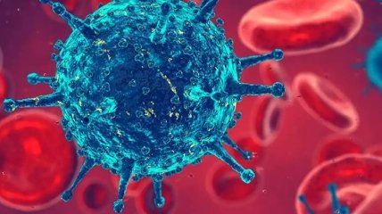 Потенциальная победа: иммунные Т-клетки могут излечить все виды рака