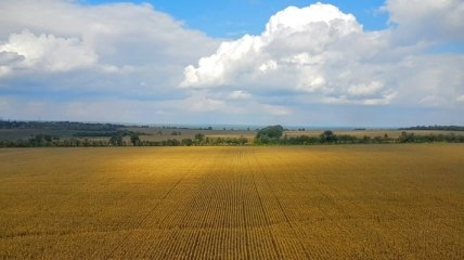 Всемирный банк полагает, что открытие рынка земли увеличит ВВП Украины на 2%