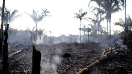 G7 ищет варианты тушения пожаров в Амазонии
