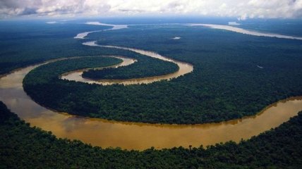 Ученые выяснили удивительный факт об амазонских лесах