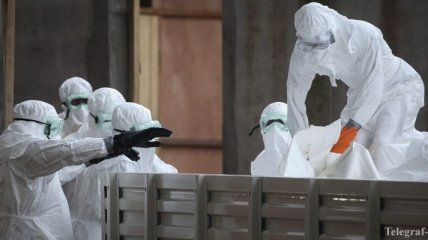 Вакцина против вируса Эбола не спасла от смерти 
