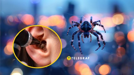 Почему и как насекомые могут оказаться в ухе