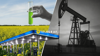 Горючее из рапса может частично заменить дизель